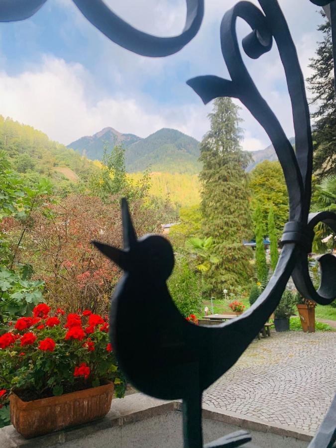 Tannerhof Bed & Breakfast Caines Exterior foto