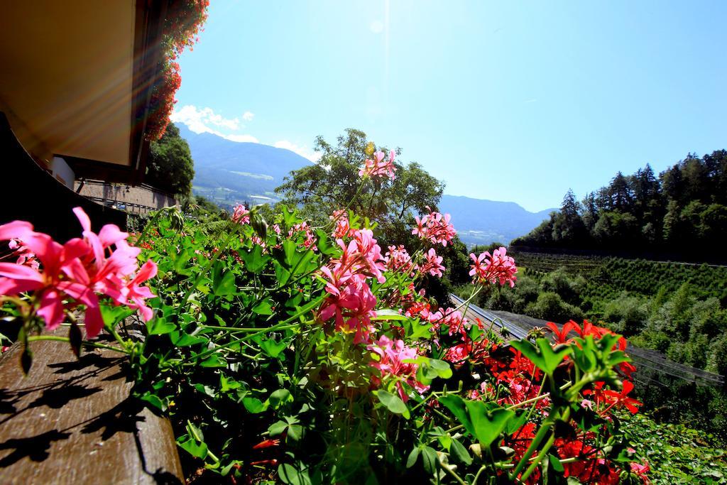 Tannerhof Bed & Breakfast Caines Cameră foto